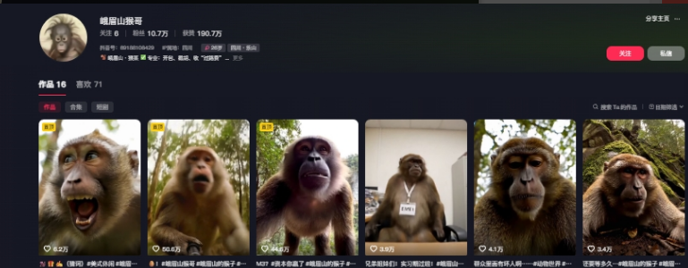 图片[2]-最新爆火的峨眉山猴子短视频制作教程，条条点赞10w+-小马哥轻创网