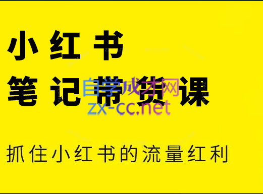 张宾·小红书笔记带货课(更新6月)价值3888元的课程-小马哥轻创网